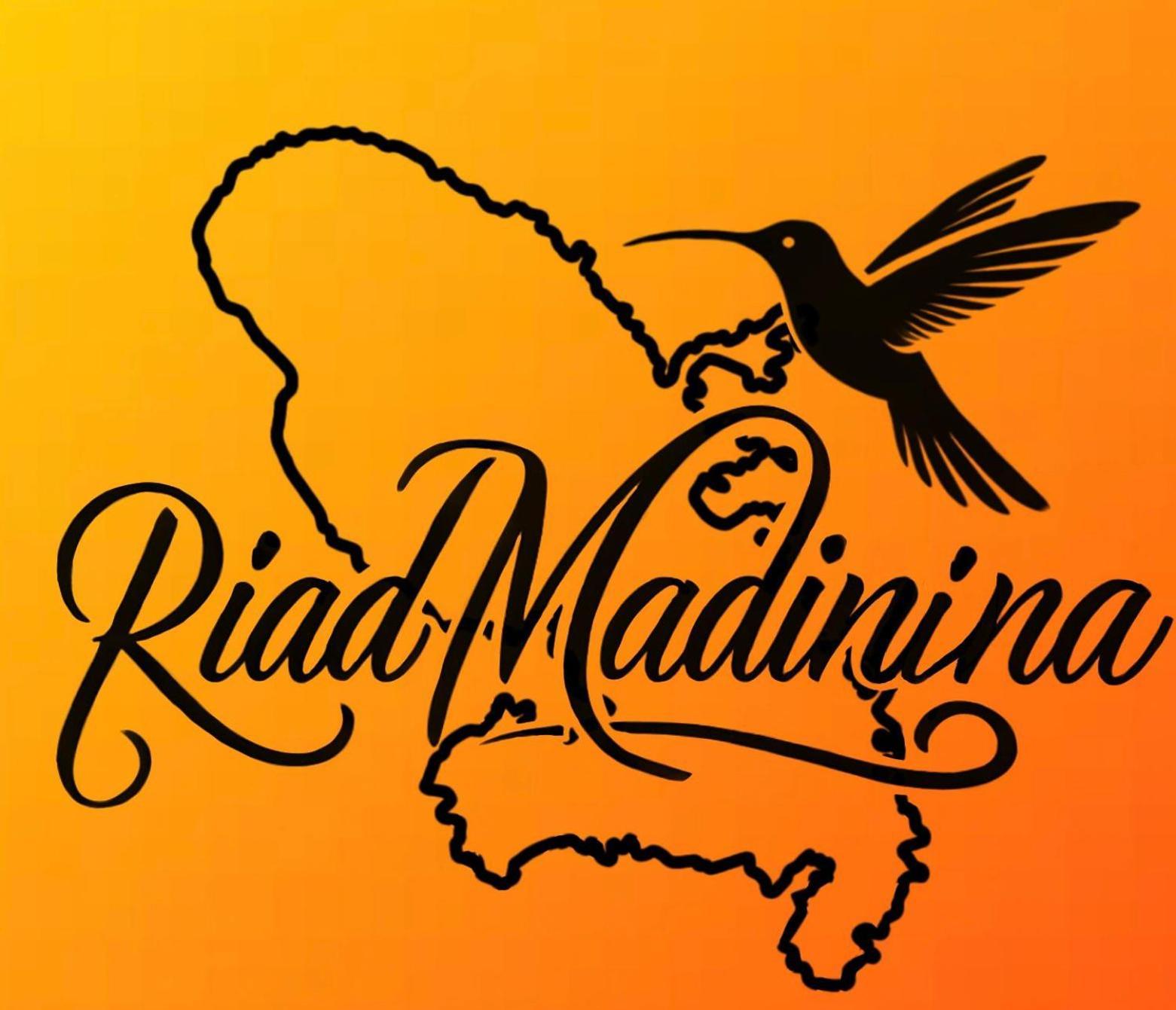 Riad Madinina Marakeş Dış mekan fotoğraf